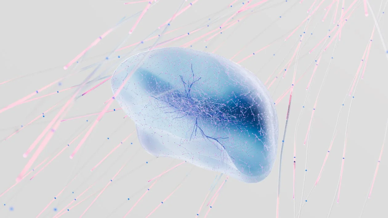 Neural network light visualization from Google DeepMind — the AI architecture separating services that scale from courses that stagnate
