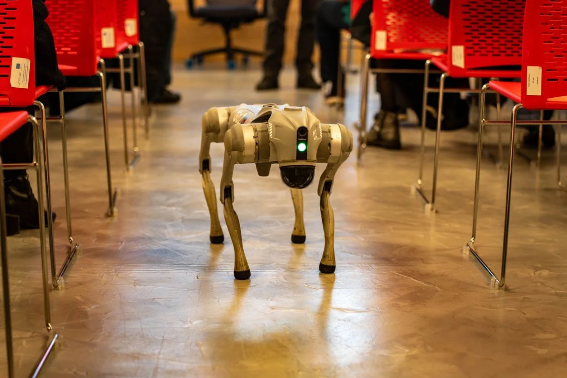 Advanced robotic dog navigating an indoor space, representing an AI workspace that runs one methodology reliably across every client