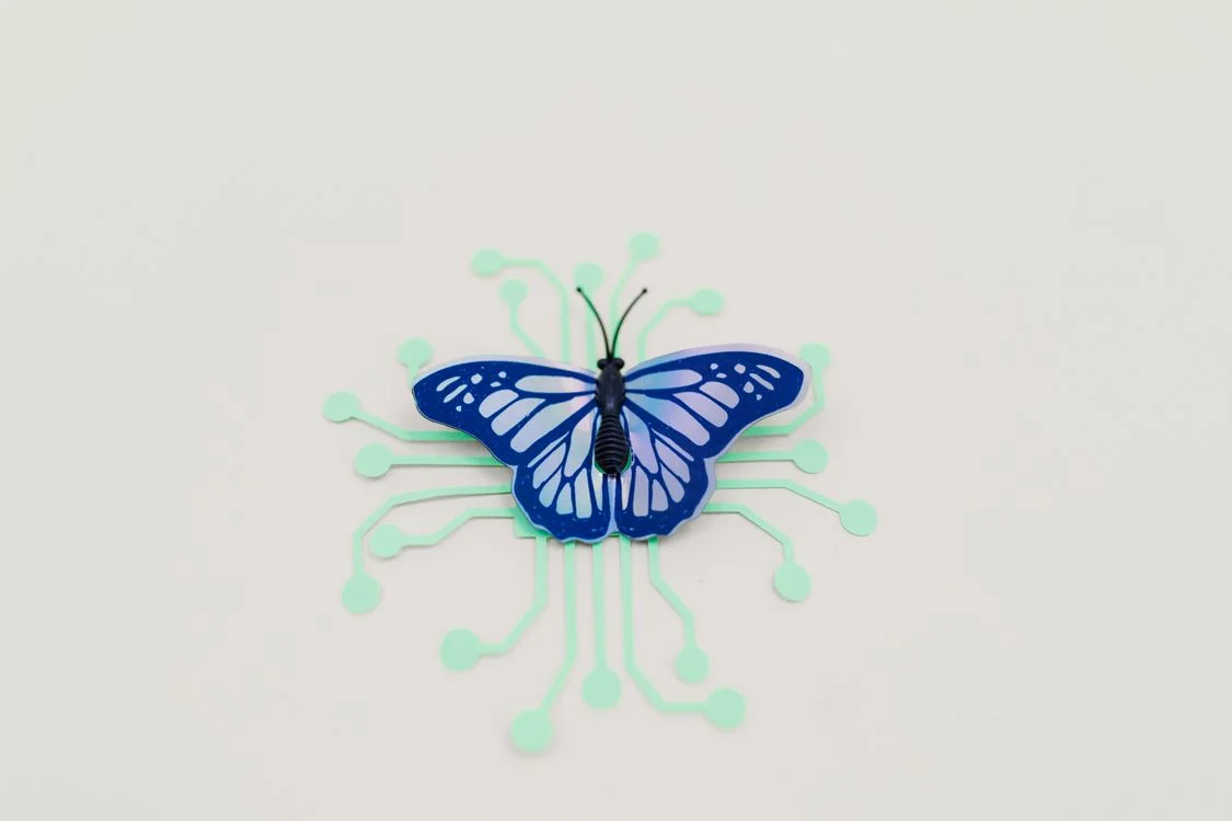 Blue butterfly resting on a circuit-board pattern, representing a methodology that compounds and improves across every client over time
