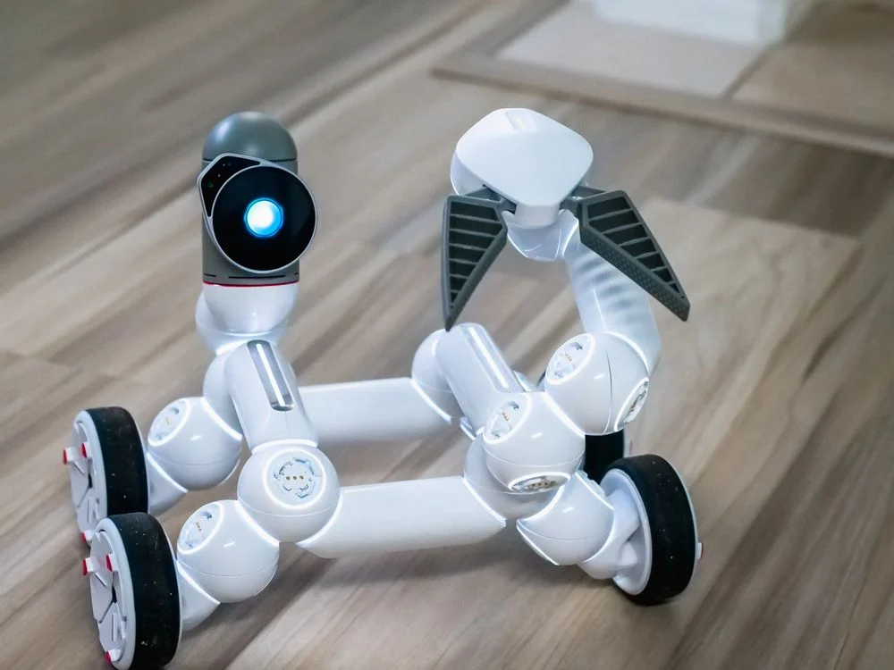 Sleek white robot with a glowing blue sensor, the system that carries the repeatable half of coaching delivery