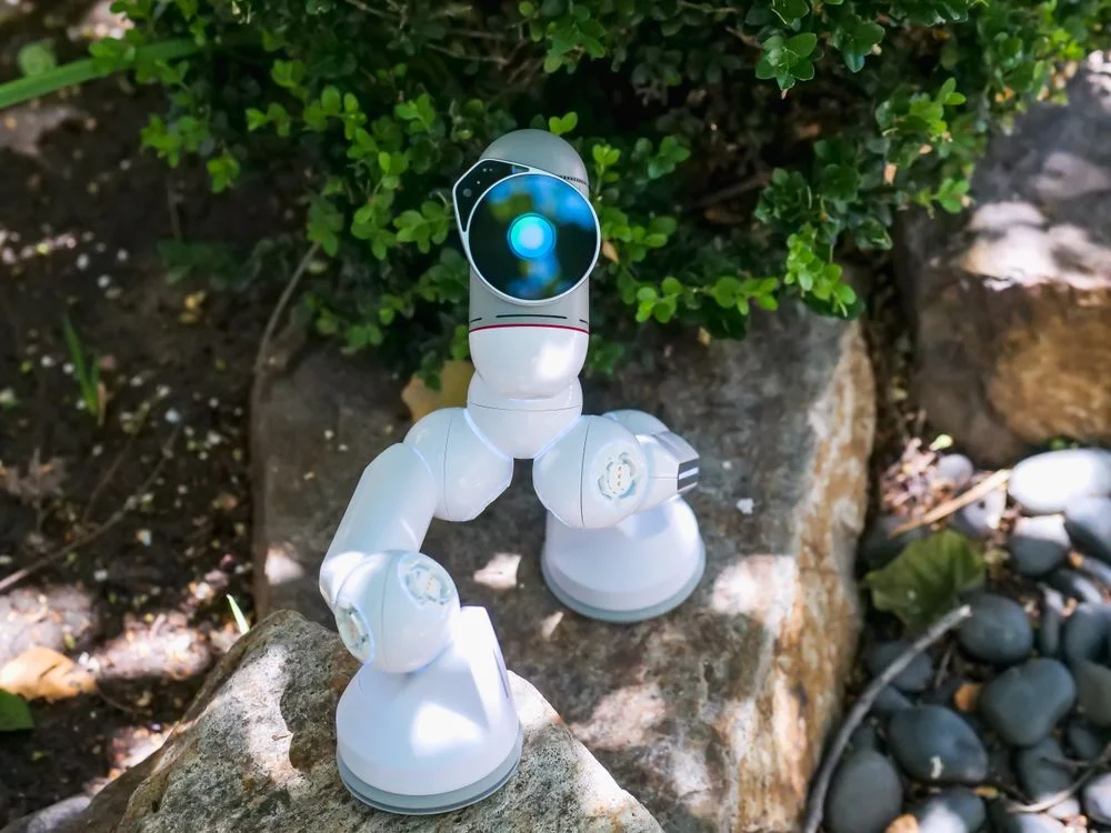 A white robot alone among rocks and greenery, representing one client sealed inside their own isolated AI workspace